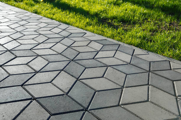 Best Custom Driveway Pavers  in Crane, TX