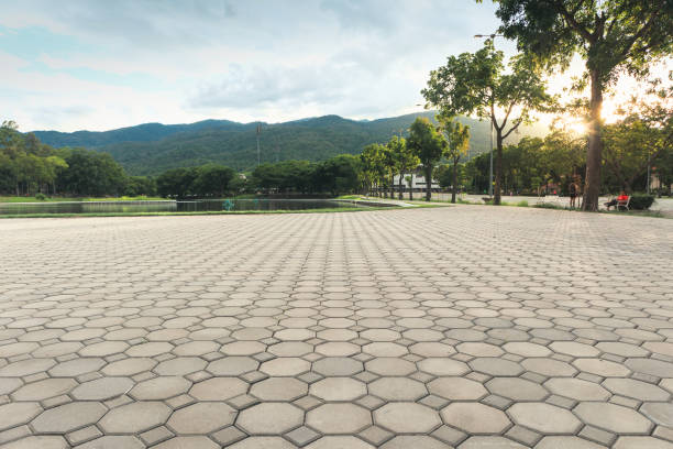 Best Driveway Resurfacing Pavers  in Crane, TX