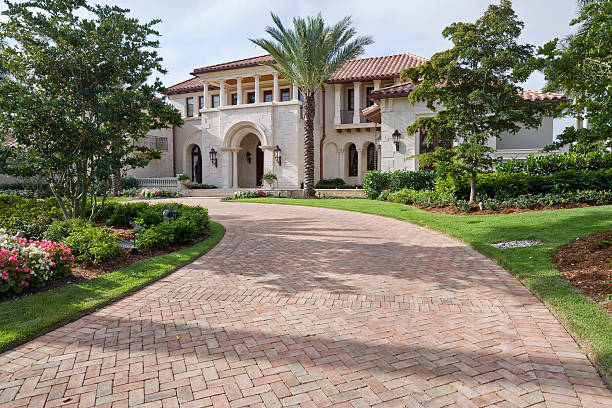Best Driveway Paving Near Me  in Crane, TX